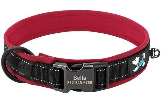 Bba İsimli Ayarlanabilir Boyun Köpek Tasması XL Kırmızı