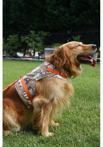 Patipatron Kaçış Önleyici Ayarlanabilir Göğüs Köpek Tasması S Turuncu