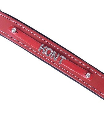 Doggie İsimli Ayarlanabilir Boyun Köpek Tasması 2.5 x 37 - 45 cm Kırmızı