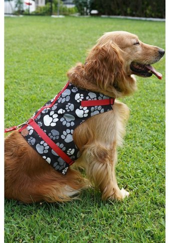 Patipatron Kaçış Önleyici Ayarlanabilir Göğüs Köpek Tasması 2XL Kırmızı