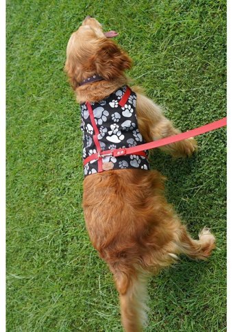 Patipatron Kaçış Önleyici Ayarlanabilir Göğüs Köpek Tasması 2XL Kırmızı