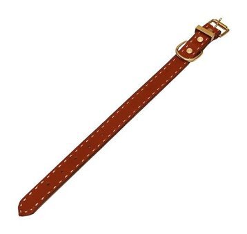 CecePet Horus Ayarlanabilir Köpek Tasması 46 - 55 cm Siyah