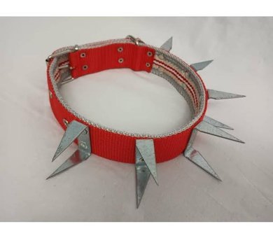 Kozaklı Ayarlanabilir Köpek Tasması 4 x 70 cm Turuncu