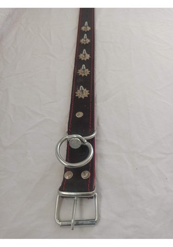 Kozaklı Ayarlanabilir Boyun Köpek Tasması 4 x 60 cm Siyah