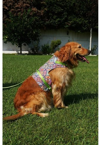 Patipatron Kaçış Önleyici Ayarlanabilir Göğüs Köpek Tasması 3XL Yeşil