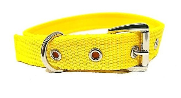 Ehlipet Ayarlanabilir Boyun Köpek Tasması 35 - 50 cm Sarı