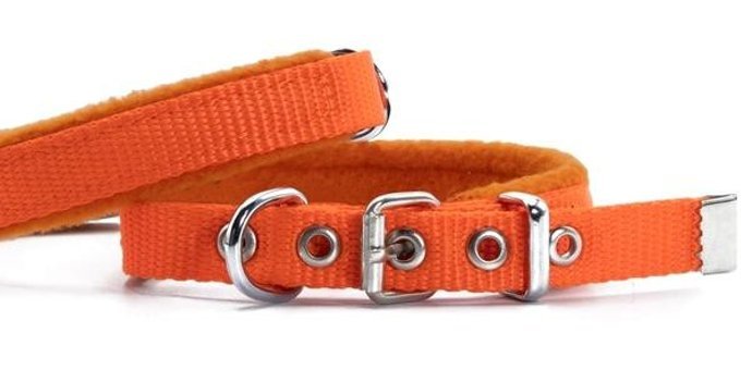 Doggie Ayarlanabilir Boyun Köpek Tasması 2.5 x 37 x 45 cm Turuncu