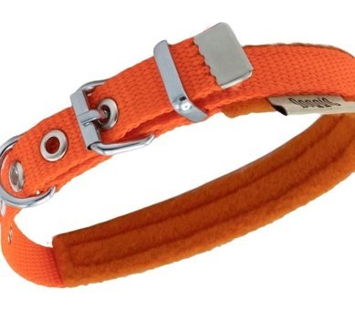 Doggie Ayarlanabilir Boyun Köpek Tasması 2.5 x 37 x 45 cm Turuncu