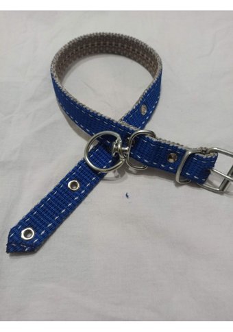 Kozaklı Ayarlanabilir Boyun Köpek Tasması 2.5 x 60 cm Mavi
