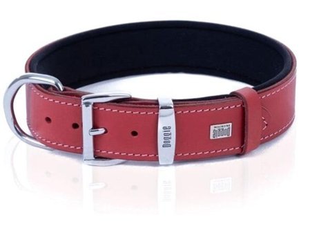 Doggie Comfort Ayarlanabilir Boyun Köpek Tasması 3.5 x 52 - 60 cm Kırmızı