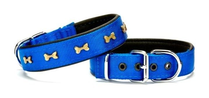Doggie Ayarlanabilir Köpek Tasması 3 x 55 cm Mavi