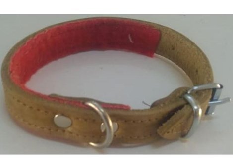 Le-Sar Ls-450 Ayarlanabilir Köpek Tasması 2 x 40 cm Çok Renkli