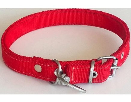Le-Sar Ls-04 Ayarlanabilir Köpek Tasması 2.5 x 60 cm Çok Renkli