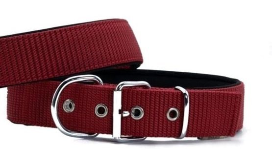 Doggie Elit Ayarlanabilir Boyun Köpek Tasması 4 x 47 - 55 cm Kırmızı