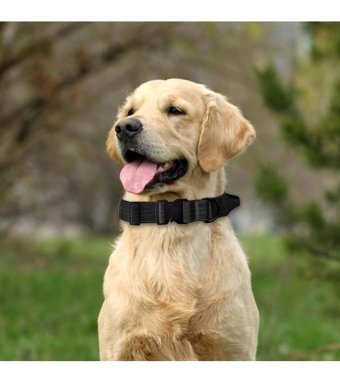 Magideal Ayarlanabilir Boyun Köpek Tasması L Siyah