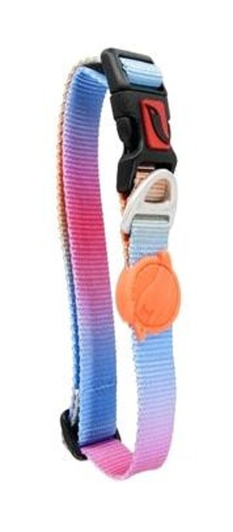 Tailpetz Pass Ayarlanabilir Boyun Köpek Tasması 30 - 50 cm Çok Renkli