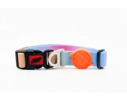 Tailpetz Pass Ayarlanabilir Boyun Köpek Tasması 30 - 50 cm Çok Renkli