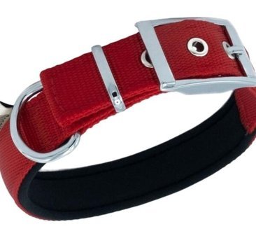 Doggie Elit Ayarlanabilir Boyun Köpek Tasması 2.5 x 37 - 45 cm Kırmızı