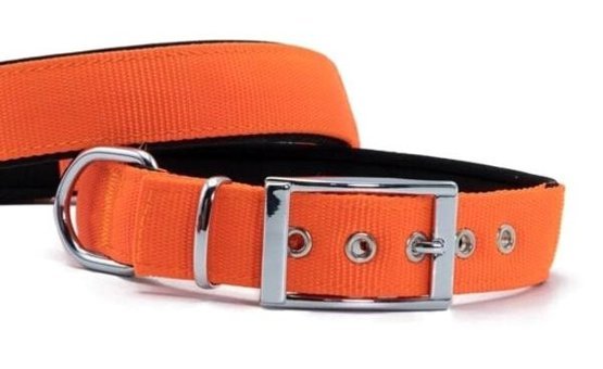 Doggie Elit Ayarlanabilir Boyun Köpek Tasması 3 x 47 - 55 cm Turuncu