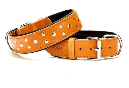 Doggie Sbt-4011 Ayarlanabilir Boyun Köpek Tasması Kahverengi