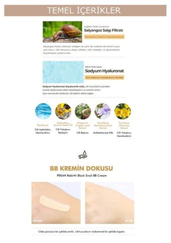 Pekah Siyah Salyangoz Müsini Tüm Cilt Tipleri İçin Suya Dayanıklı Su Bazlı Sivilce Yapmayan BB Krem Orta Ton