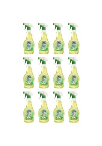 Ernet Sıvı Arap Sabunu 12x750 ml