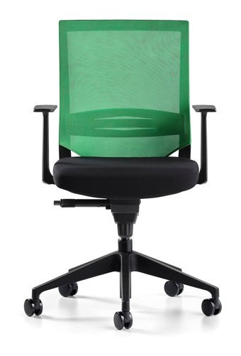 Bürotime Cozy Kolçaklı Dönerli Siyah-Yeşil Çalışma Sandalyesi