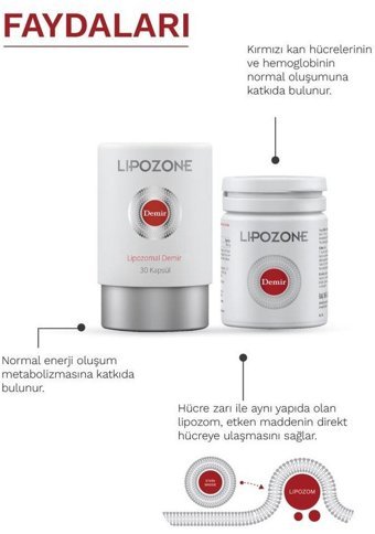 Lipozone Demir Bitki Ekstralar Yetişkin Vitamin 30 Kapsül