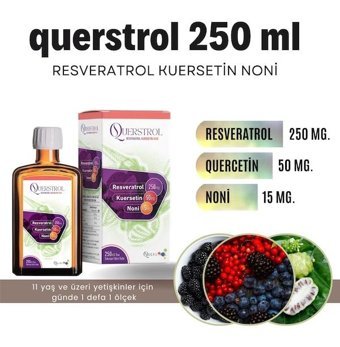Querstrol - Karışık Meyve Yetişkin Vitamin 250 ml