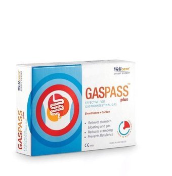 Wellcare Gas Pass Aromasız Yetişkin Vitamin 20 Tablet