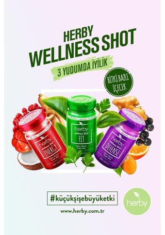 Herby Wellness Bitki Ekstralar Yetişkin Vitamin 12x60 ml