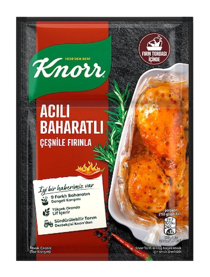 Knorr Acılı Baharatlı Tavuk Çeşnisi 24x31 gr
