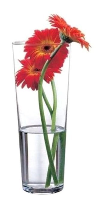 Paşabahçe Botanica 43177 Cam 1 lt Kapaklı Sürahi