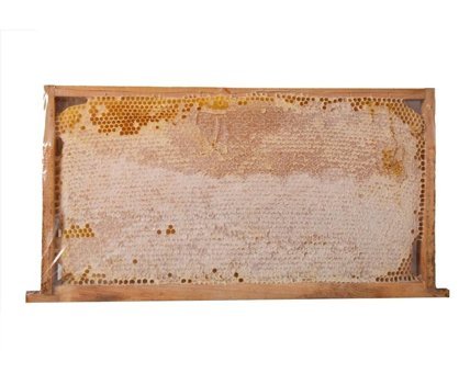 Çelik Gıda Balı 1 kg