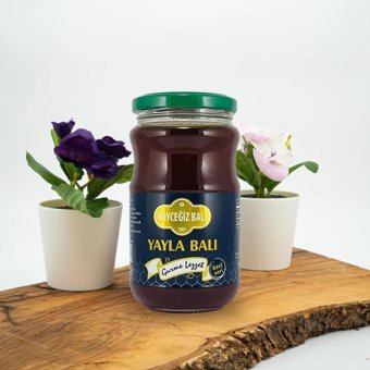 Köyceğiz Muğla Süzme Yayla Balı 450 gr