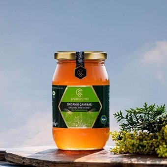 Şahbaz Çaylı Organik Çam Balı 450 gr