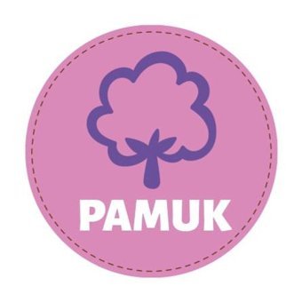 Mooncare Lady Soft Organik İnce Antialerjik 9'lu Hijyenik Ped 1 Adet