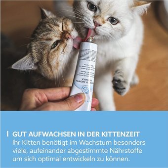Gimcat Kitten Paste Multivitamin Gelişim Destekleyici Yavru Kedi Vitamini Macun 50 gr