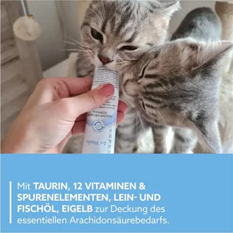 Gimcat Kitten Paste Multivitamin Gelişim Destekleyici Yavru Kedi Vitamini Macun 50 gr