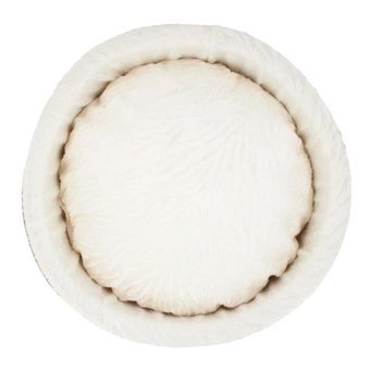Lepus Yıkanabilir 50 x 17 cm Simit Kedi Yatağı Krem