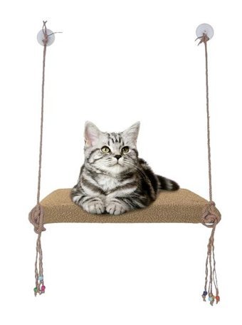 Patiderm Vantuzlu 35 x 50 cm Sepet Kedi Yatağı Kırmızı