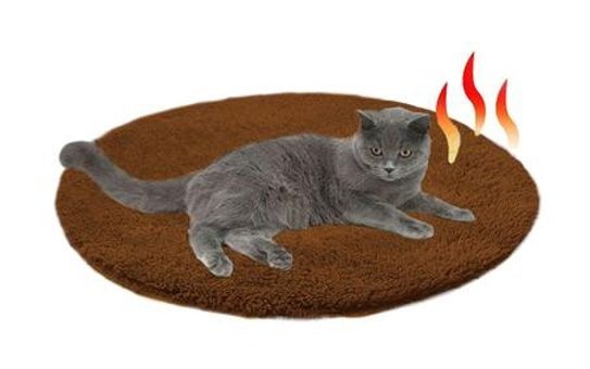Bundera Yıkanabilir 50 x 50 cm Simit Kedi Yatağı Kahverengi