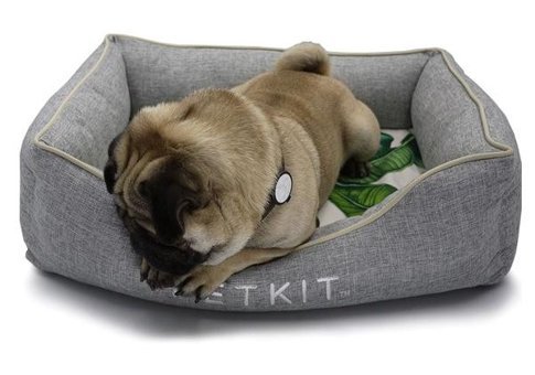 Petkit 50 x 50 cm Sepet Kedi Yatağı Gri