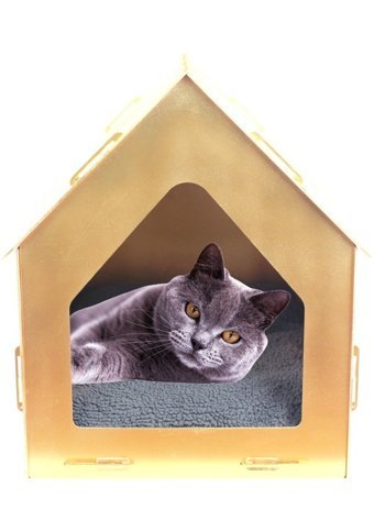 Evene 50 x 35 cm Üstü Kapalı Kedi Yatağı Altın