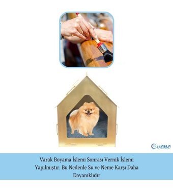 Evene 50 x 35 cm Üstü Kapalı Kedi Yatağı Altın