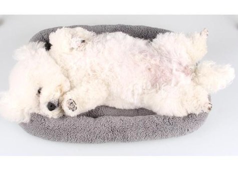 Magideal Suntek Yıkanabilir 42 x 28 cm Sepet Kedi Yatağı Gri