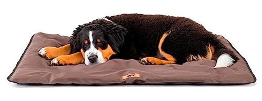 Ferplast Minder Yıkanabilir Tüm Irklar Dış Mekan ve İç Mekan Köpek Yatağı Kahverengi
