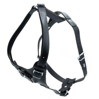 Doggie Ayarlanabilir XL Göğüs Köpek Tasması Siyah