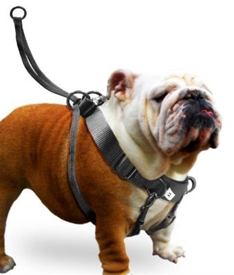 Karlie Easy Walker Ayarlanabilir Göğüs Köpek Tasması Siyah