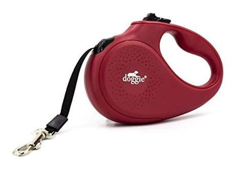 Doggie Makaralı Ayarlanabilir Köpek Tasması Yeşil